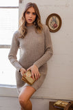 Turtle Neck Sweater Dress